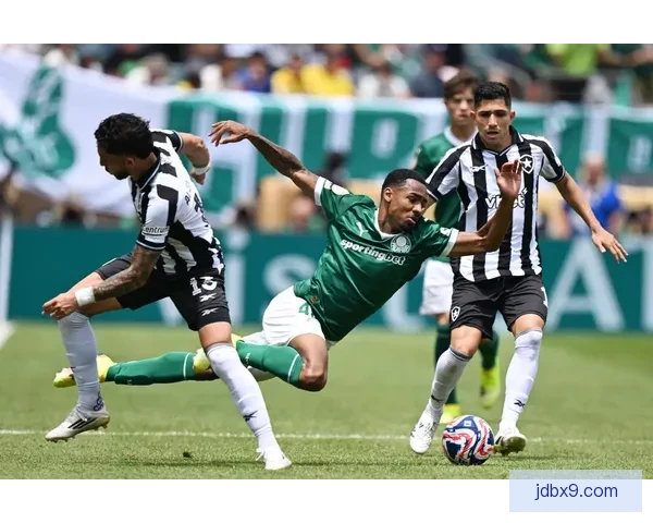 ESPN曝帕尔梅拉斯2500万欧求购狼队前锋阿里亚斯转会动向